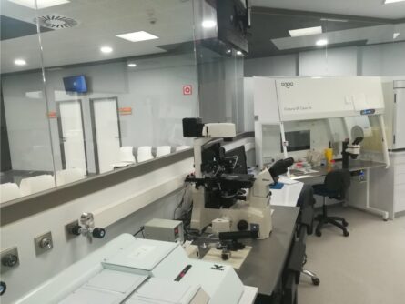 Laboratorio UHRA Quirónsalud – Ginemed Huelva