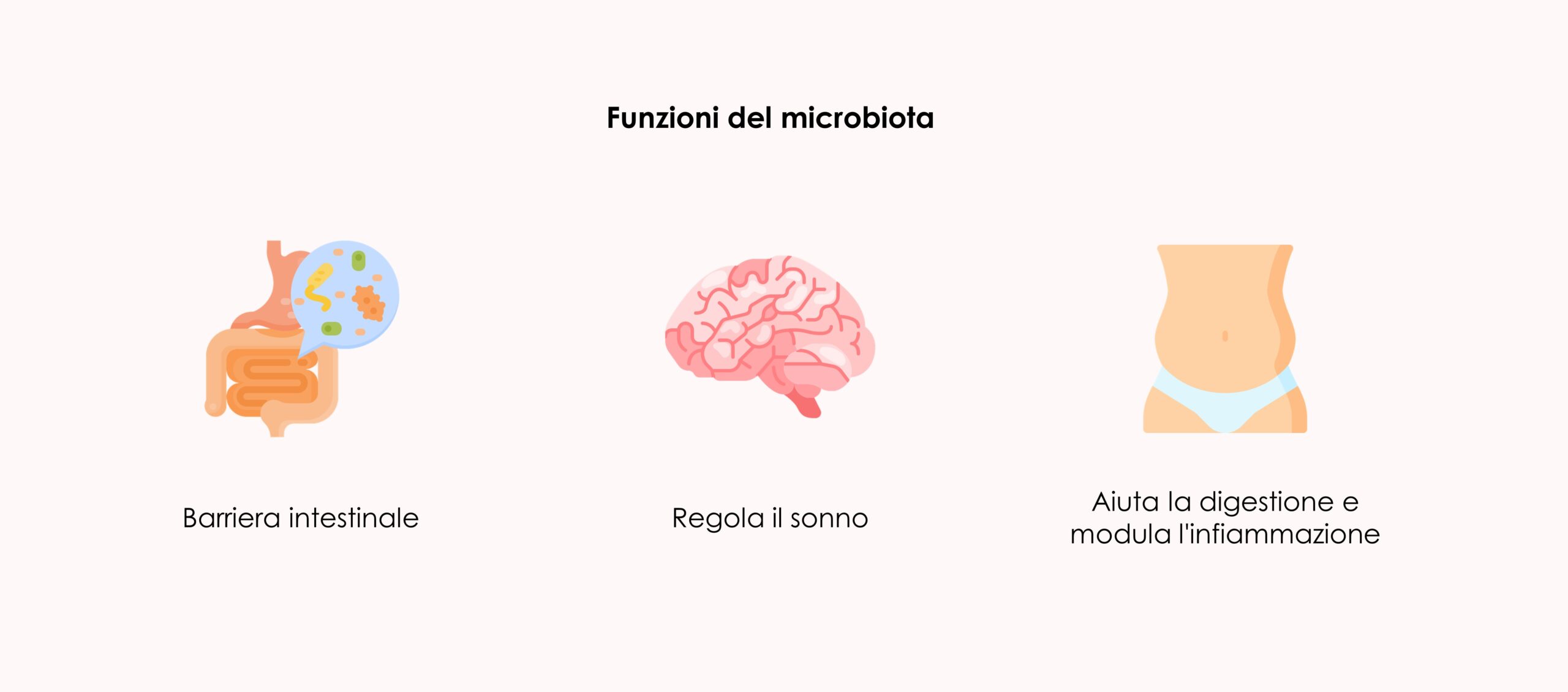 funzioni del microbiota