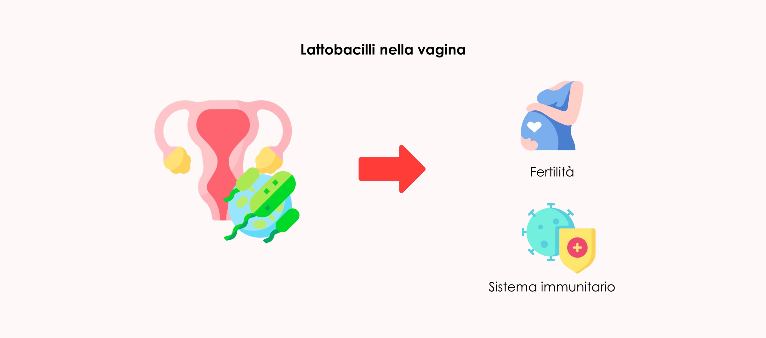 Lattobacilli nella vagina